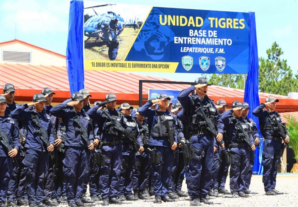 tigres